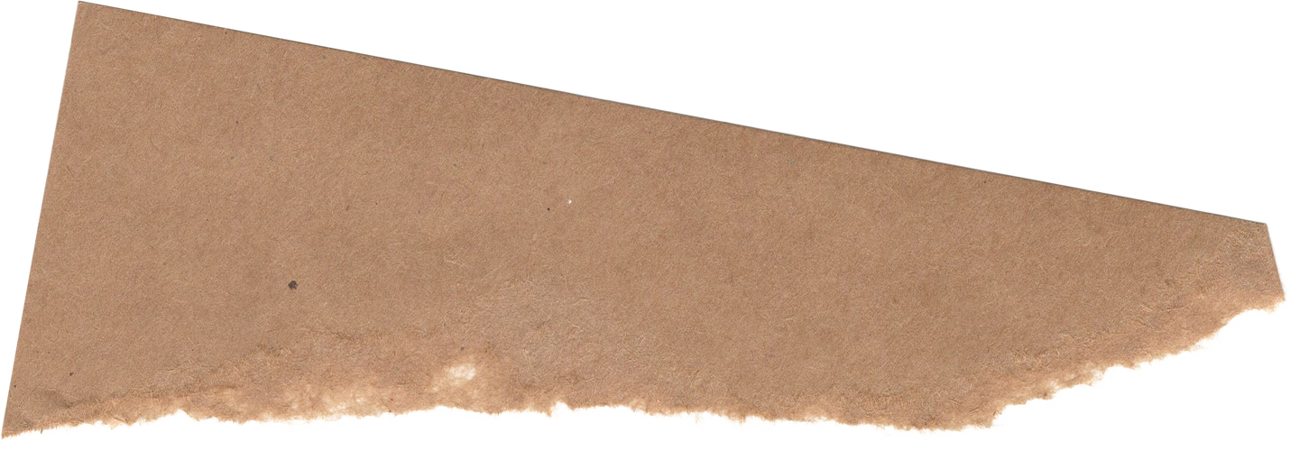 Ripped Paper