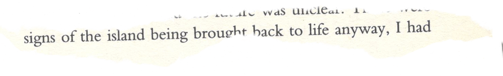 Ripped Paper